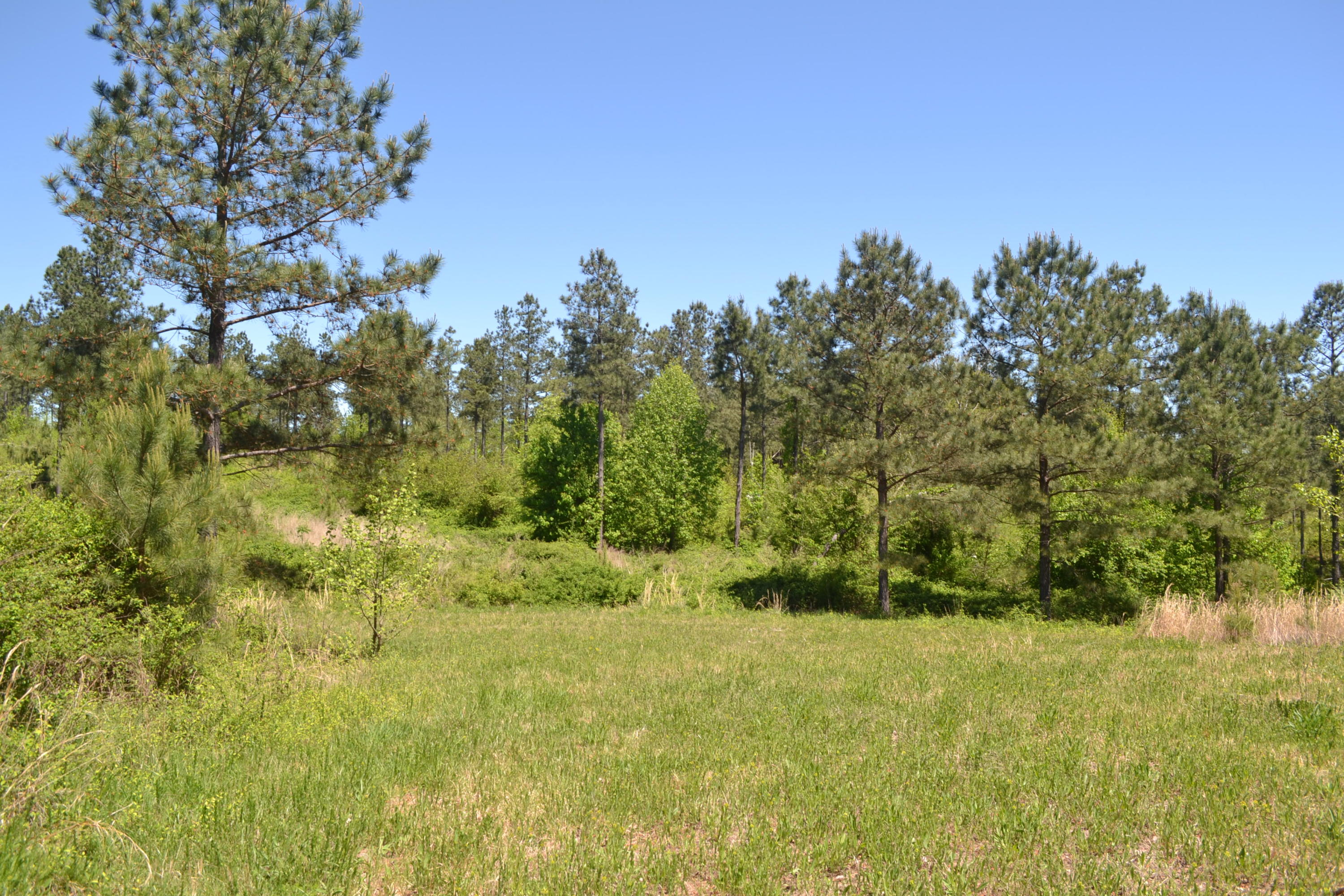 100-ac Sims Road Decatur, TN 37322 - Photo 9 of 27 Hon 224 ac_1885Hon 224 ac