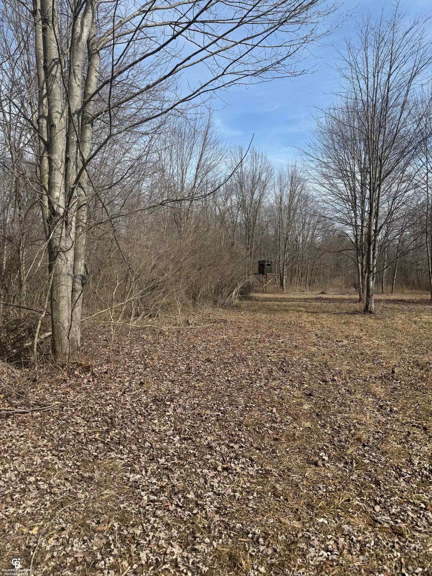 11105 Bryce Road Emmett, MI 48022 - Photo 37 of 44 50169414-dd4738a6-76f7-4aab-9d07-98463a6f9fb3.JPG