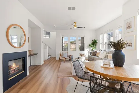 a living room with furniture a fireplace and a potted plant