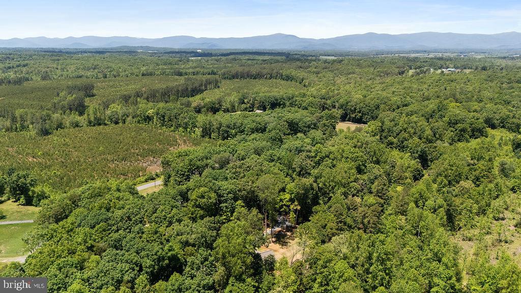 12121 Albano Road Barboursville, VA 22923 - Photo 43 of 67