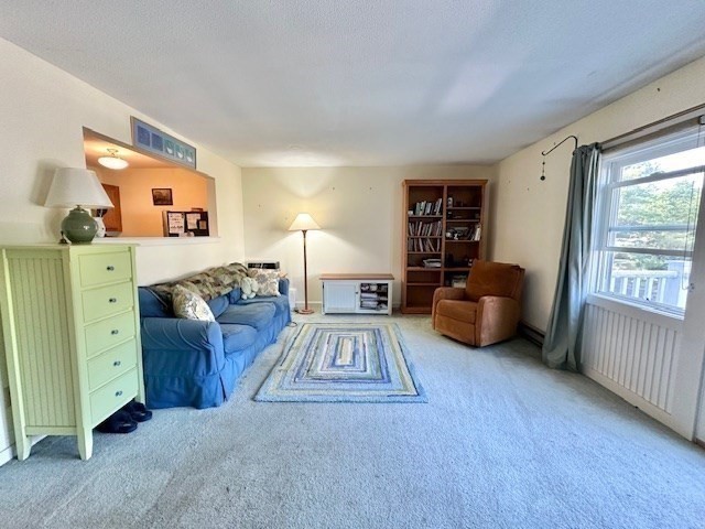 48 Evergreen Road, Unit 313 Leeds, MA 01053 - Photo 4 of 19 a living room with furniture and a large window