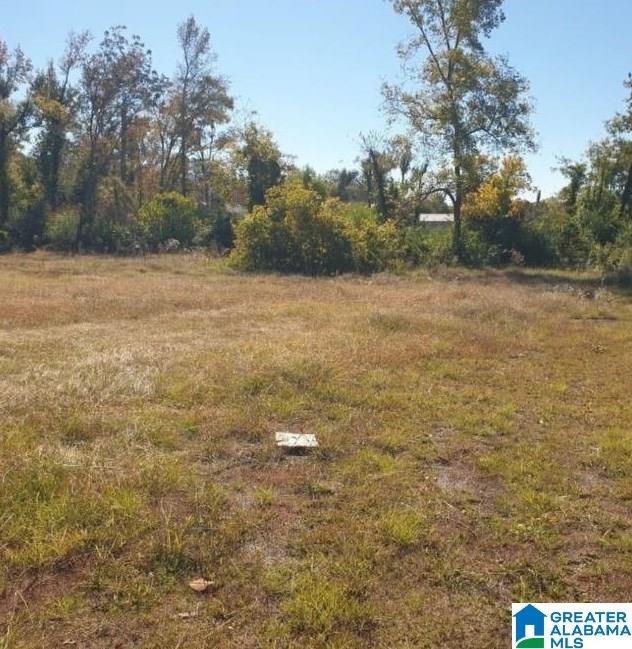 125 Mooney Road, Unit 1 & 2 Columbiana, AL 35051 - Photo 2 of 5