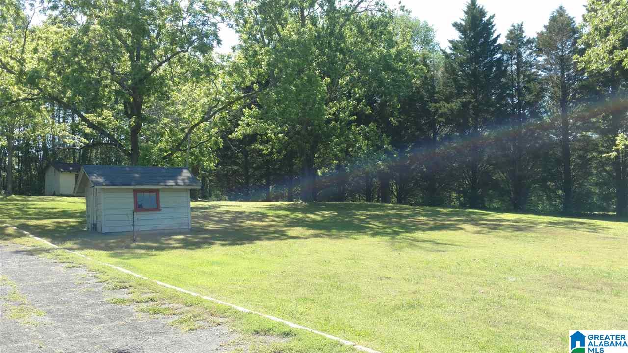 4840 Duck Springs Road Attalla, AL 35954 - Photo 9 of 26