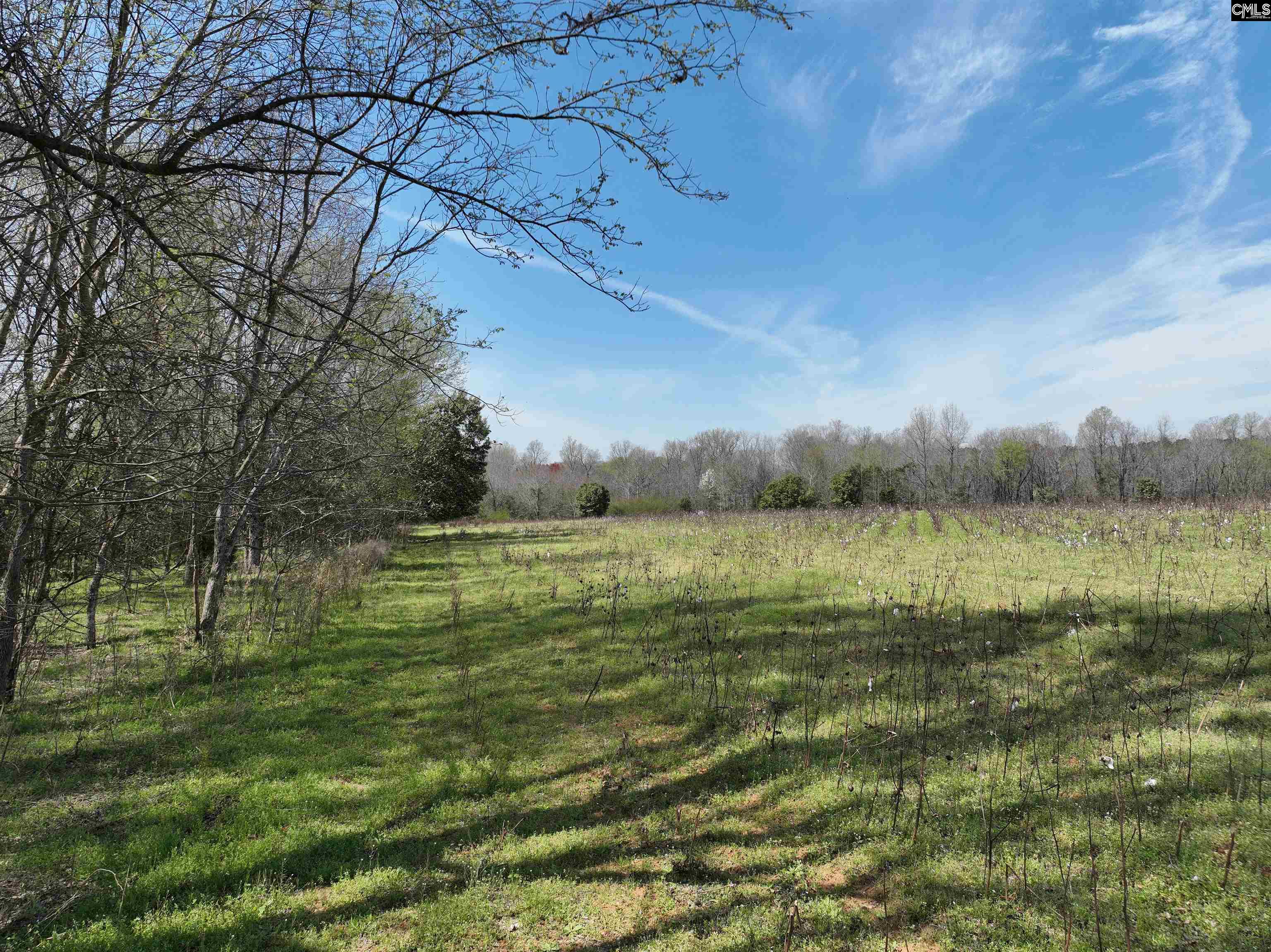 0 Dr Boylston Road Salley, SC 29137 - Photo 37 of 41