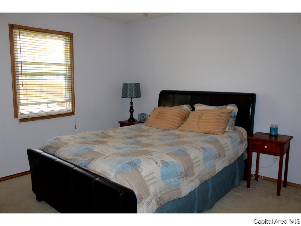309 East Sangamon Avenue Springfield, IL 62702 - Photo 15 of 26 Gallery Image 15