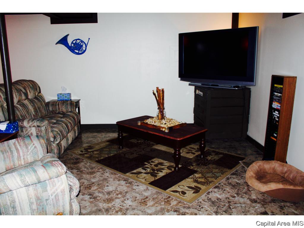 309 East Sangamon Avenue Springfield, IL 62702 - Photo 20 of 26 Gallery Image 20