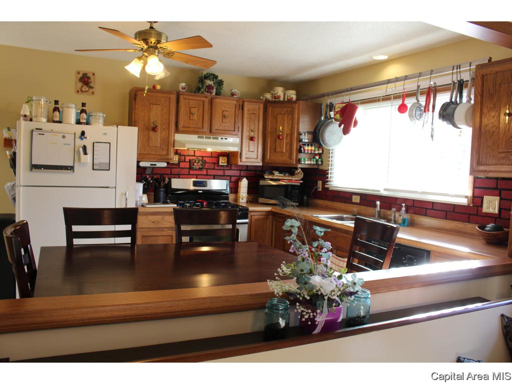309 East Sangamon Avenue Springfield, IL 62702 - Photo 7 of 26 Gallery Image 7