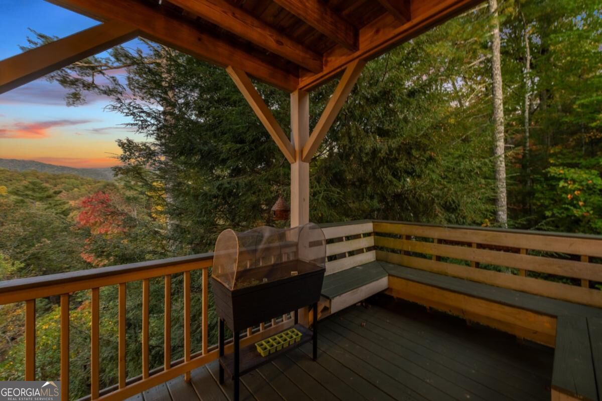 709 Laurel Creek Trail Blue Ridge, GA 30513 - Photo 16 of 87 Gallery Image 16
