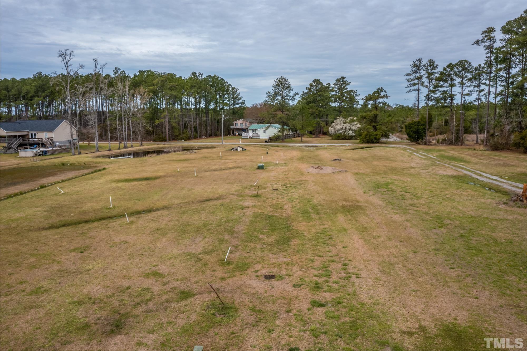 307 Griggs Road Vandemere, NC 28587 - Photo 33 of 45 a view of a yard with palm trees