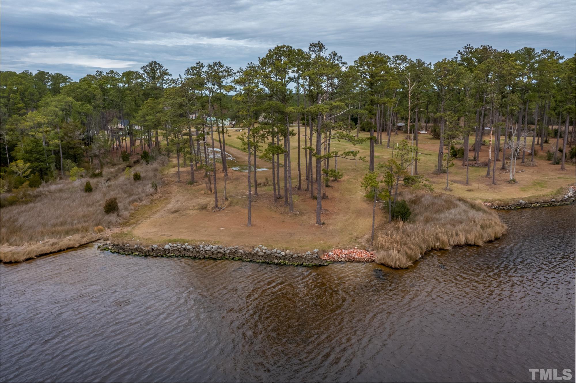 307 Griggs Road Vandemere, NC 28587 - Photo 7 of 45 a view of a yard