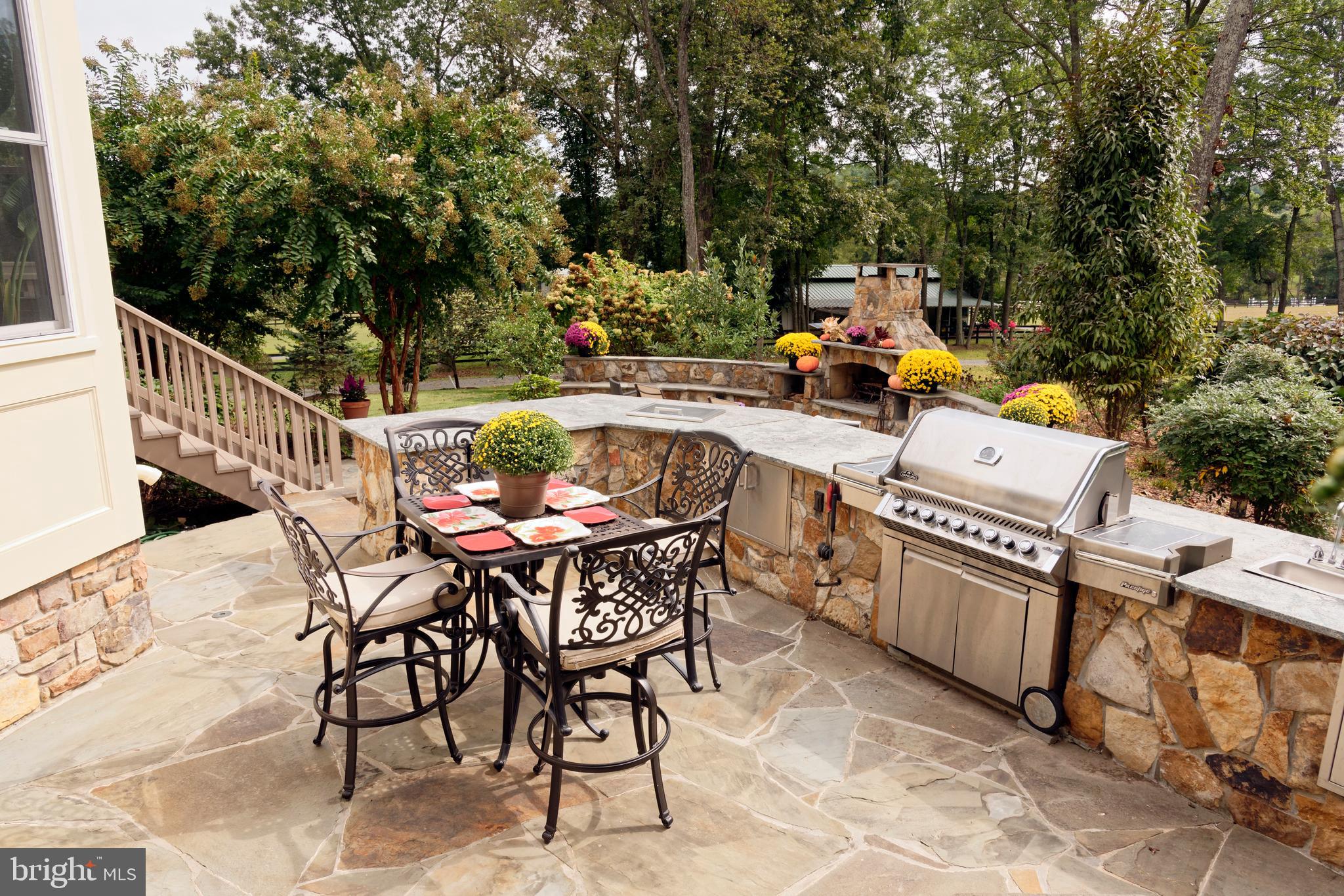 36775 Leith Lane Middleburg, VA 20117 - Photo 39 of 70 Plumbed gas grill, small fridge & table space