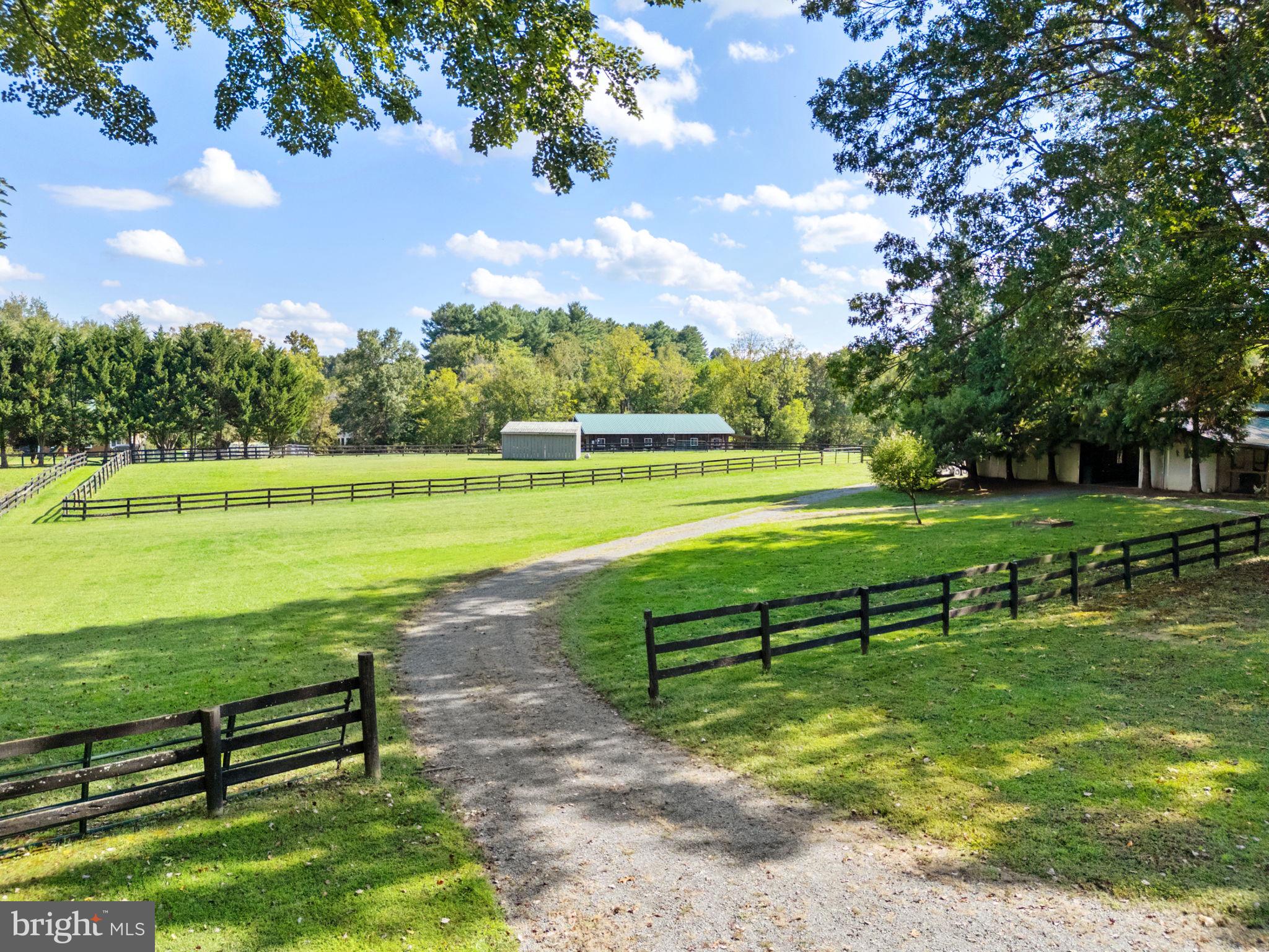 36775 Leith Lane Middleburg, VA 20117 - Photo 44 of 70 a view of a park with large trees