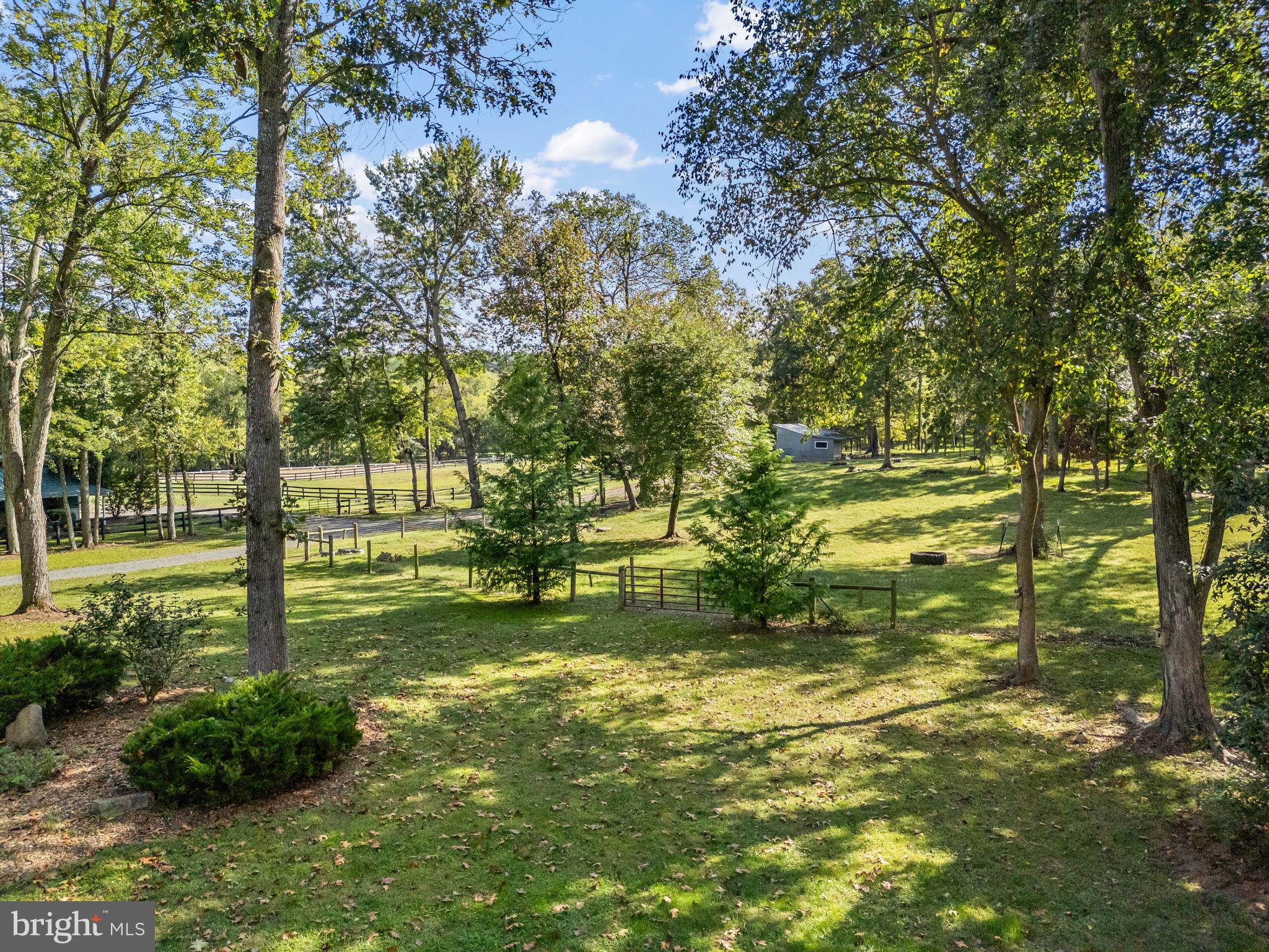 36775 Leith Lane Middleburg, VA 20117 - Photo 70 of 70 a view of a yard with a tree