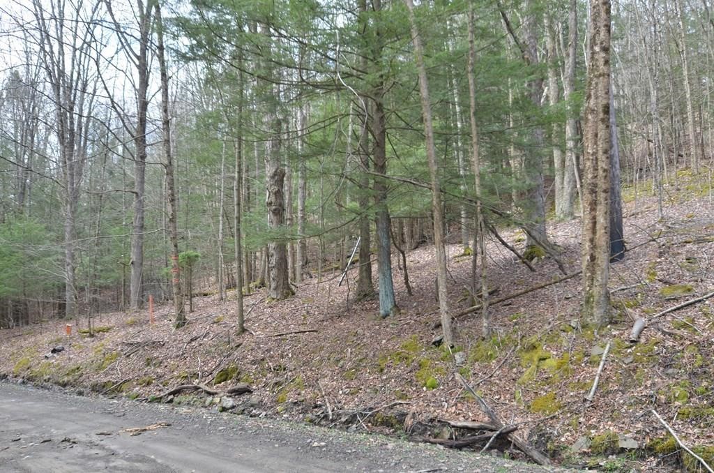 4235 Bellinger Hollow Road Hornby, NY 14830 - Photo 3 of 11