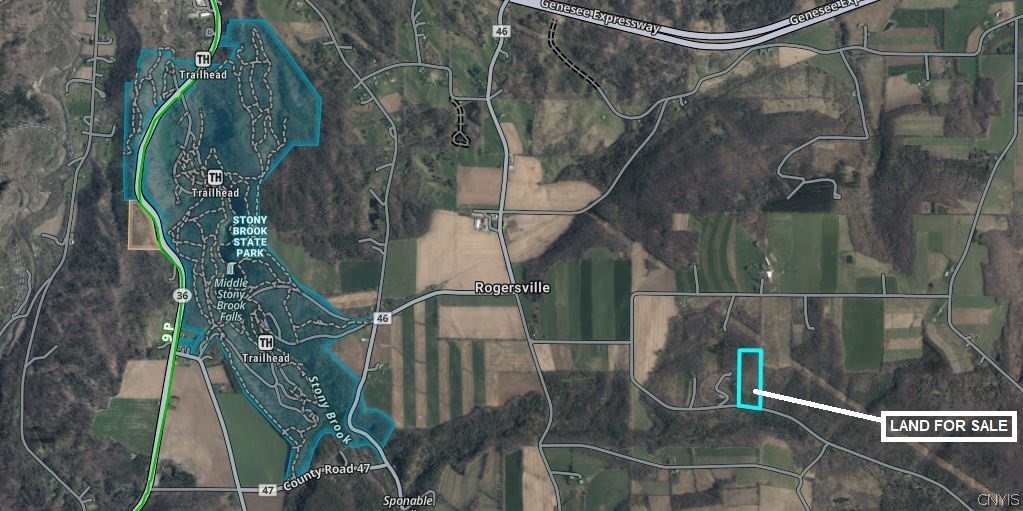 Keifer Hollow Road Dansville, NY 14437 - Photo 6 of 33