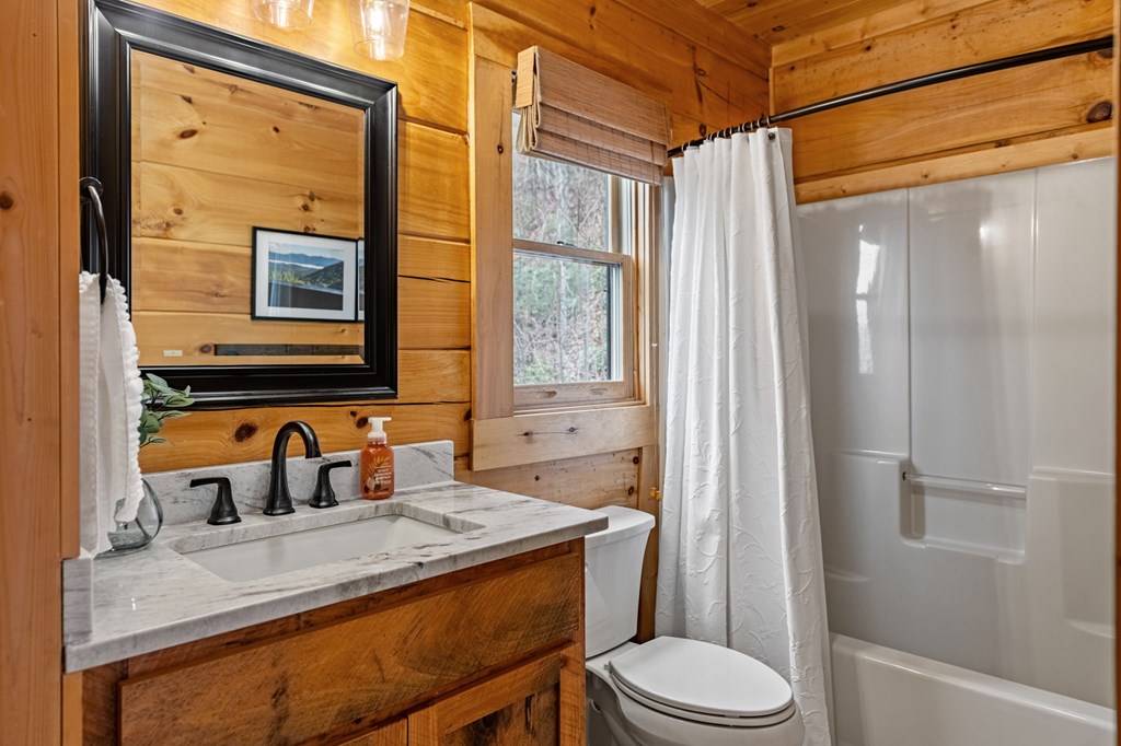 161 Cub Trail Cherry Log, GA 30522 - Photo 34 of 57 a bathroom with a sink a toilet and shower