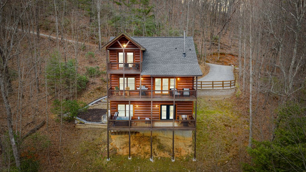 161 Cub Trail Cherry Log, GA 30522 - Photo 55 of 57 a aerial view of a house