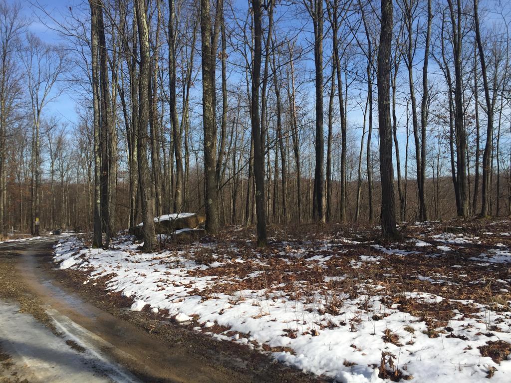0 Carbaugh Road Seneca, PA 16346 - Photo 2 of 11