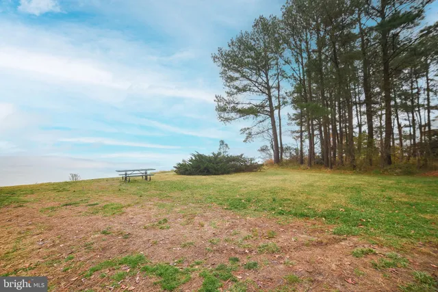 a view of beach and ocean