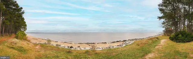 a view of swimming pool with a yard