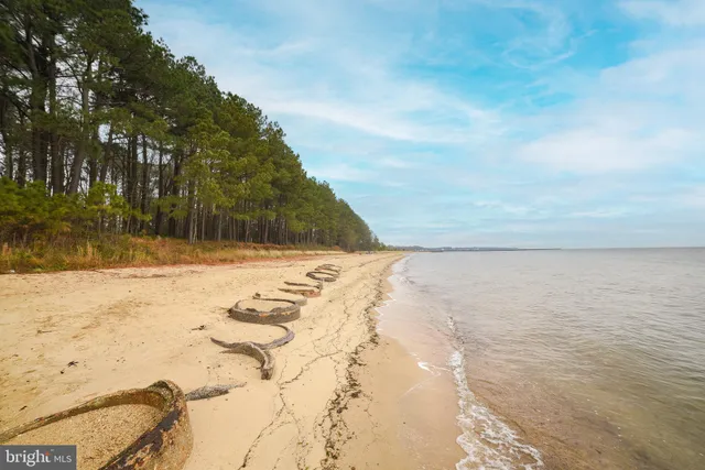 a view of yard covered with snow