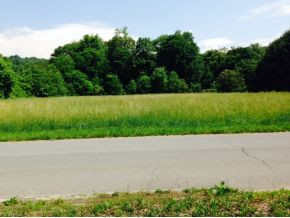 0 Rex Harrell Road Elizabethton, TN 37643 - Photo 1 of 1 Photo 1