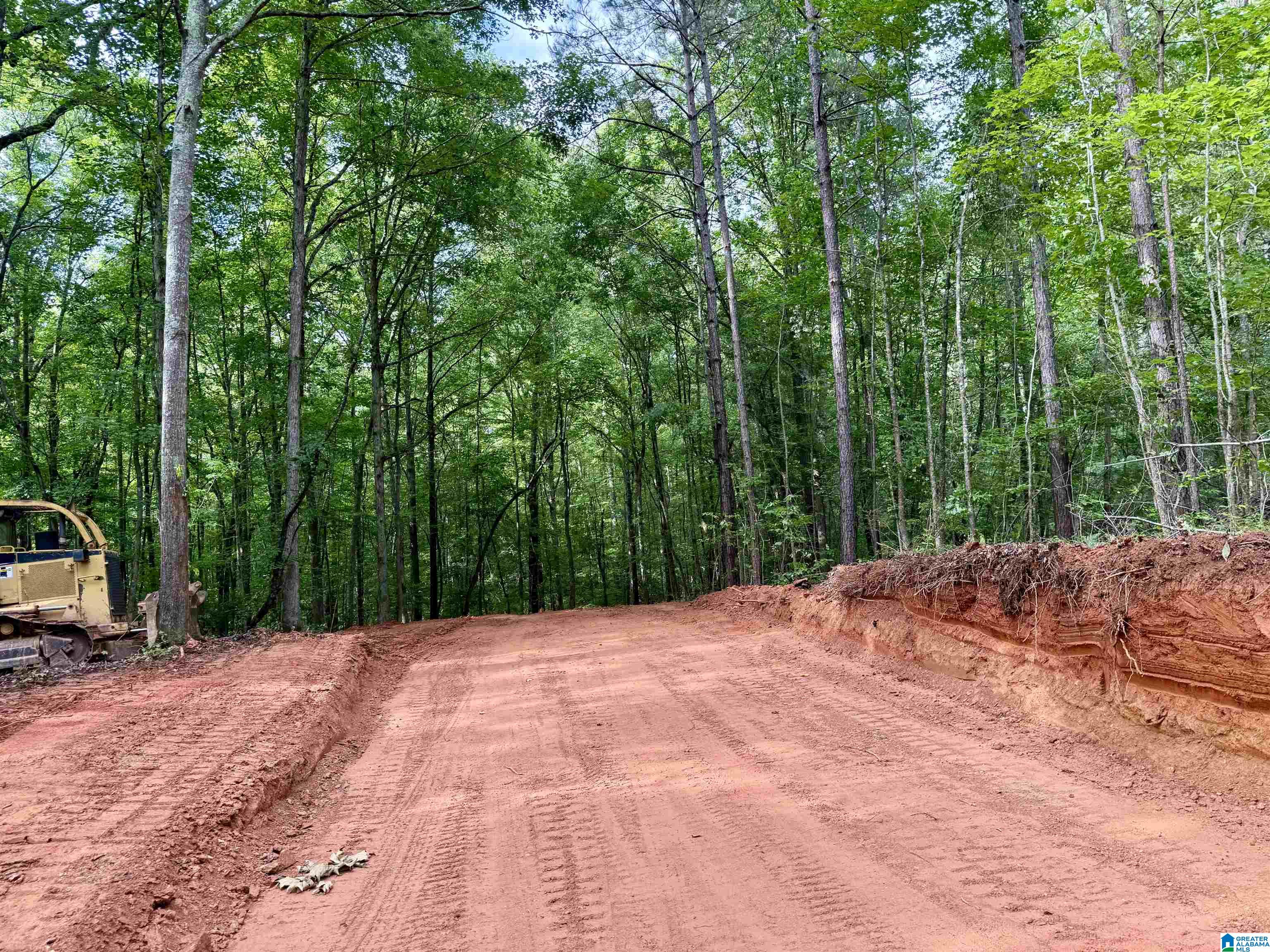 0 Settlement Road Sylacauga, AL 35150 - Photo 14 of 16