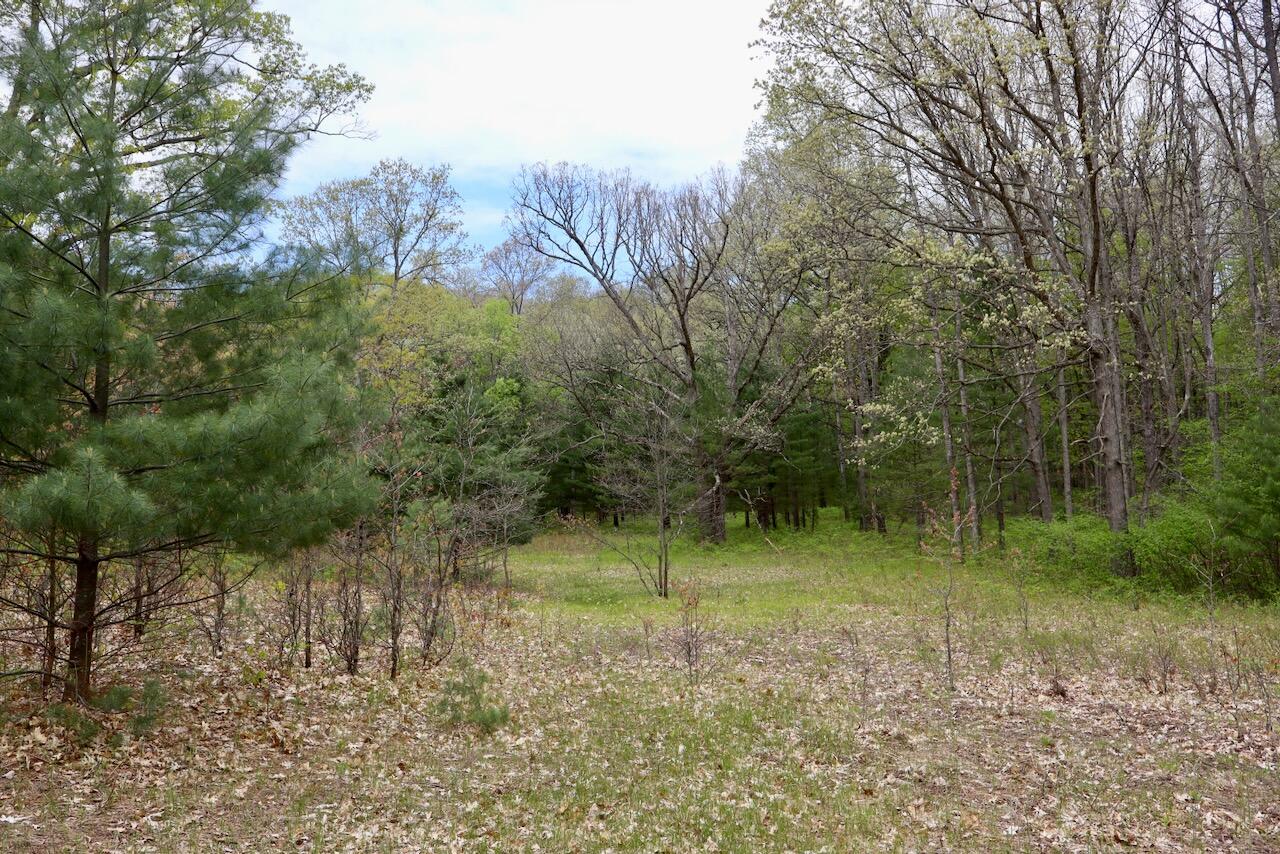 6153 South Branch Road Branch, MI 49402 - Photo 56 of 70 49