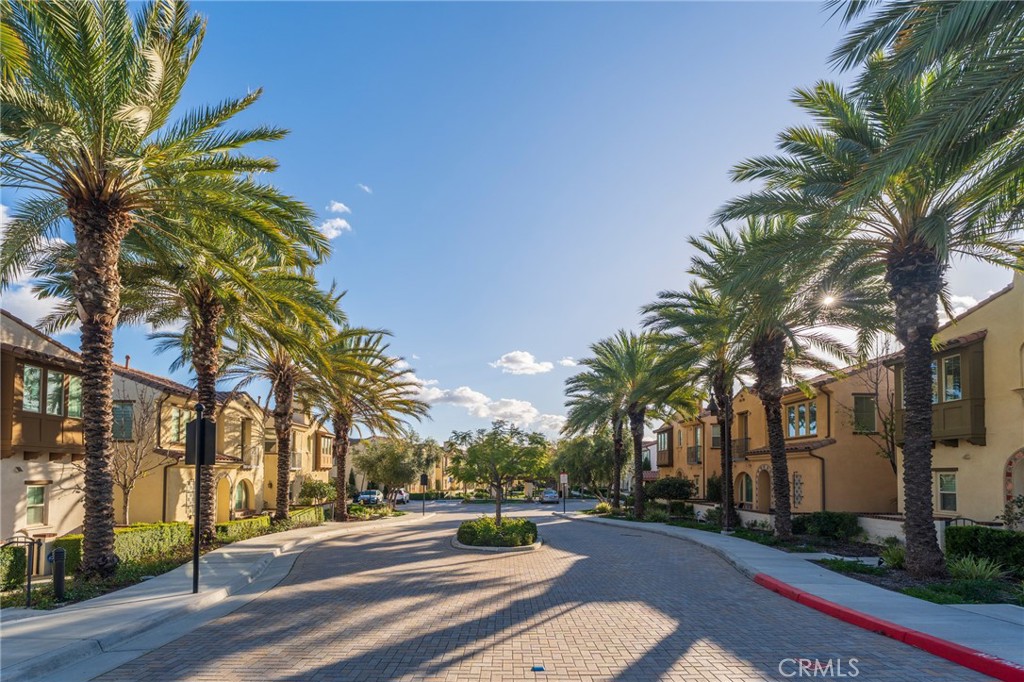 409 Mallorca Lane Brea, CA 92823 - Photo 27 of 40 a row of palm trees in front of house