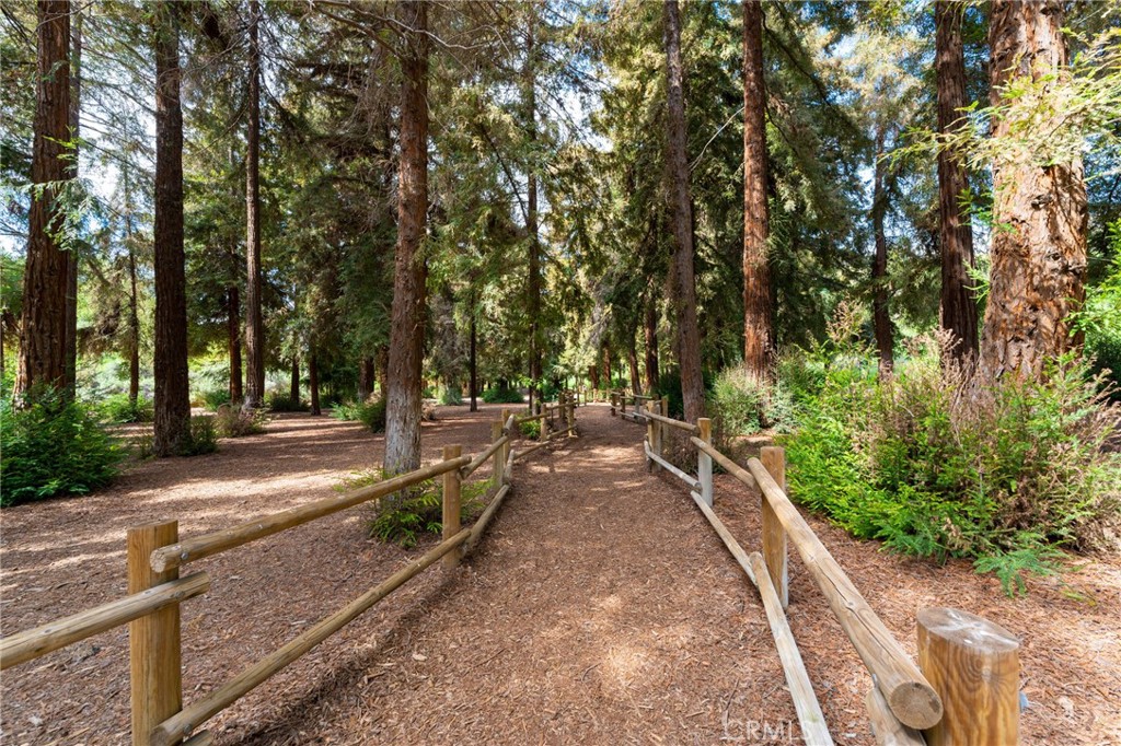 409 Mallorca Lane Brea, CA 92823 - Photo 38 of 40 a view of a park with large trees