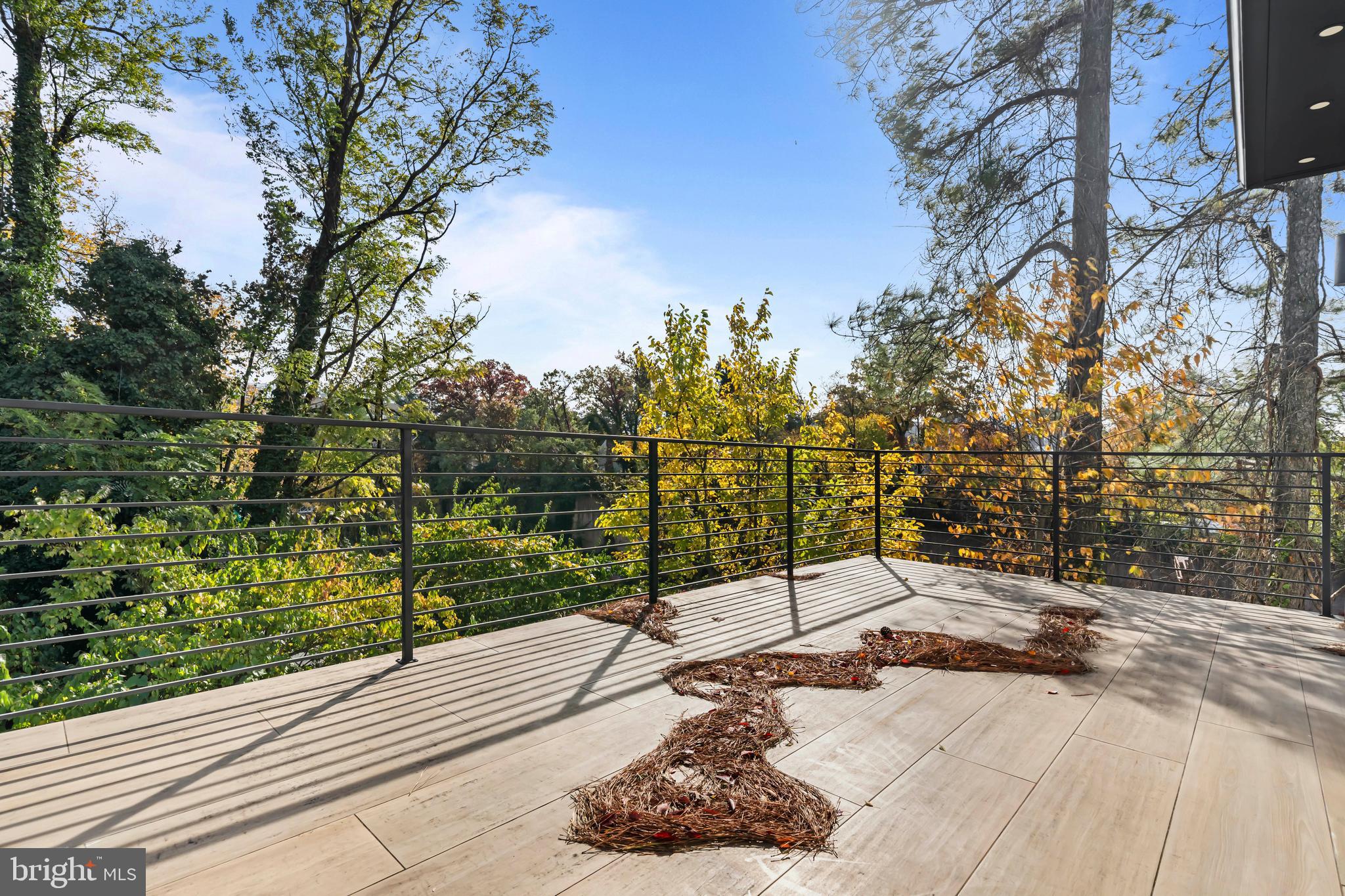 4246 15th Street North Arlington, VA 22207 - Photo 30 of 72 Deck Off Primary Bedroom Suite