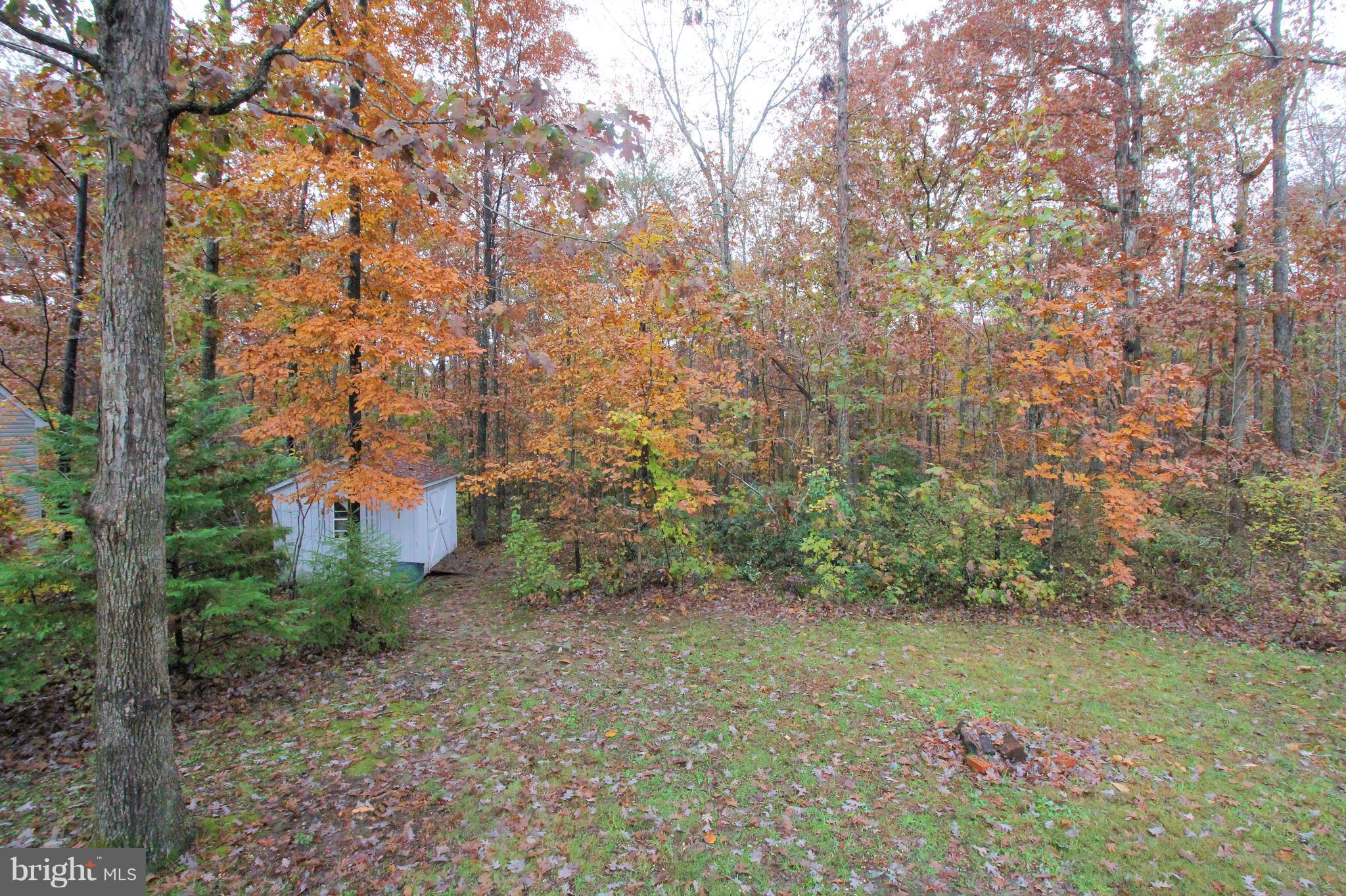 113 Saylers Creek Road Locust Grove, VA 22508 - Photo 12 of 29 a backyard of a house with lots of green space