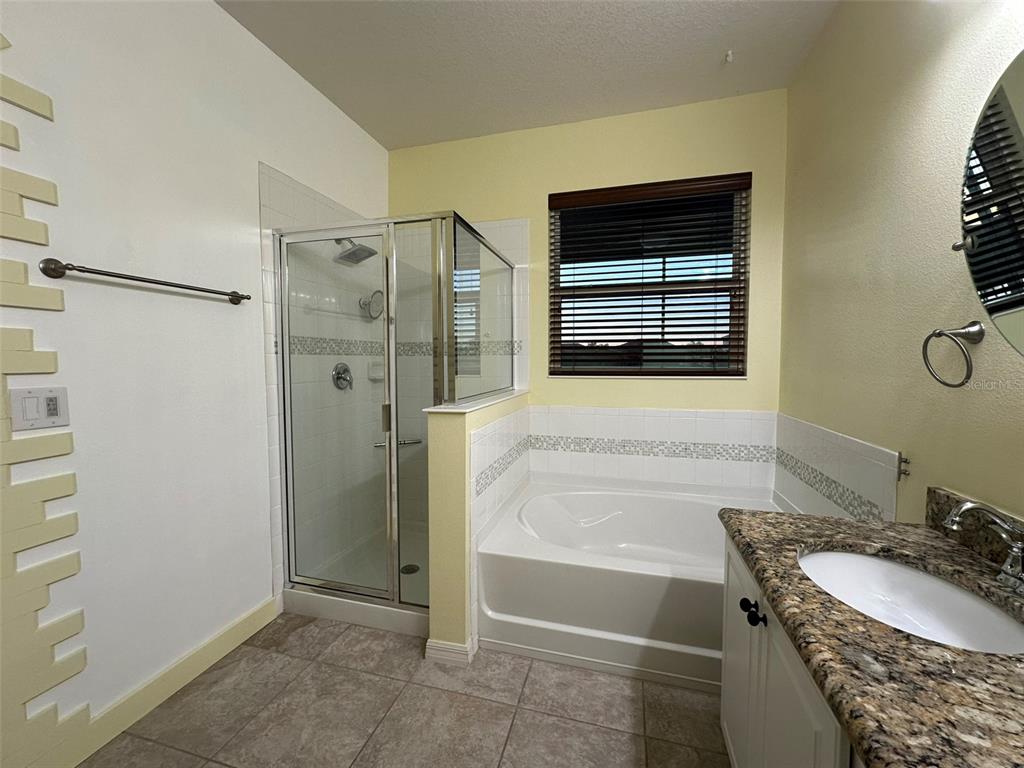 3008 Boat Lift Road Kissimmee, FL 34746 - Photo 29 of 56 a bathroom with a granite countertop sink a mirror and shower