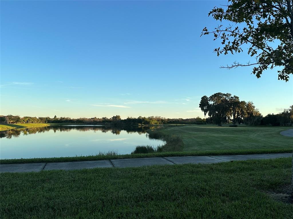3008 Boat Lift Road Kissimmee, FL 34746 - Photo 49 of 56 a view of a lake from a yard