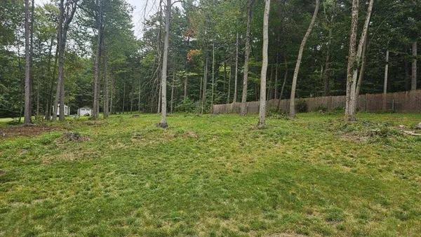 a view of outdoor space and garden