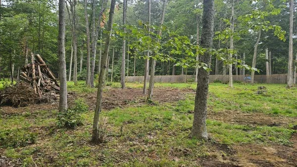 a view of a yard with a tree