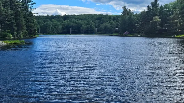 a view of a yard with a dry yard
