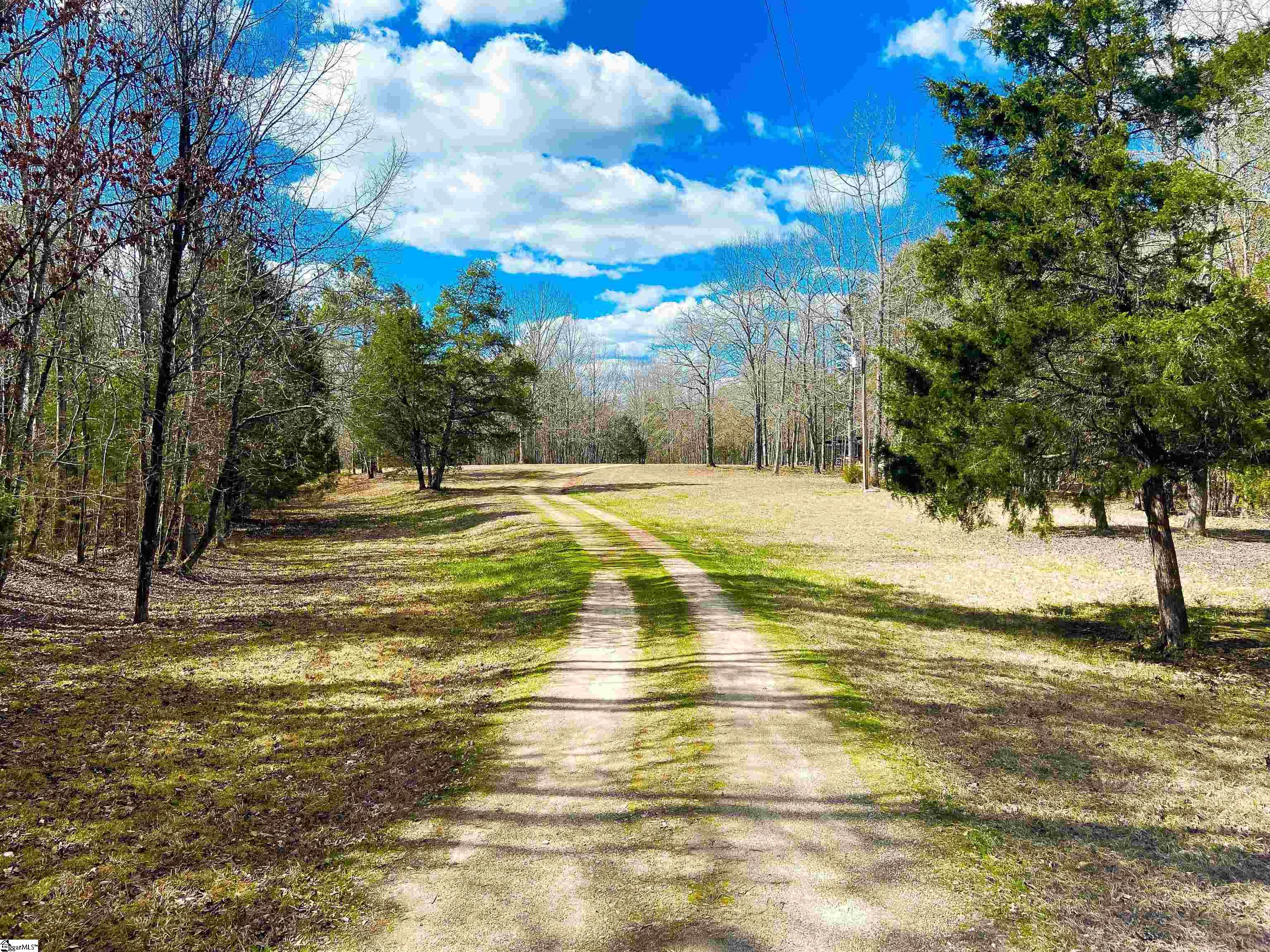 901 Bolt Road Gray Court, SC 29645 - Photo 1 of 36