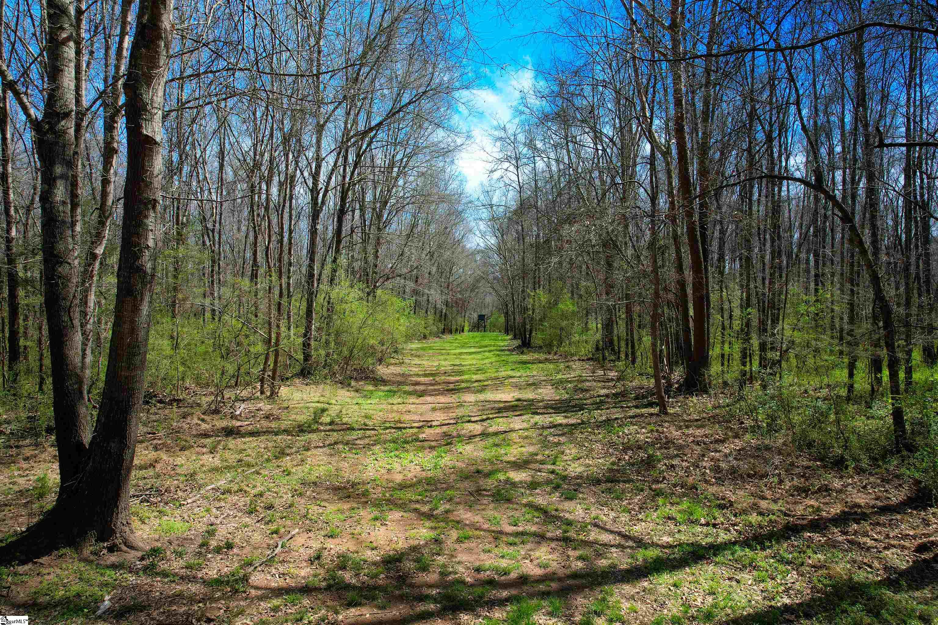 901 Bolt Road Gray Court, SC 29645 - Photo 14 of 36