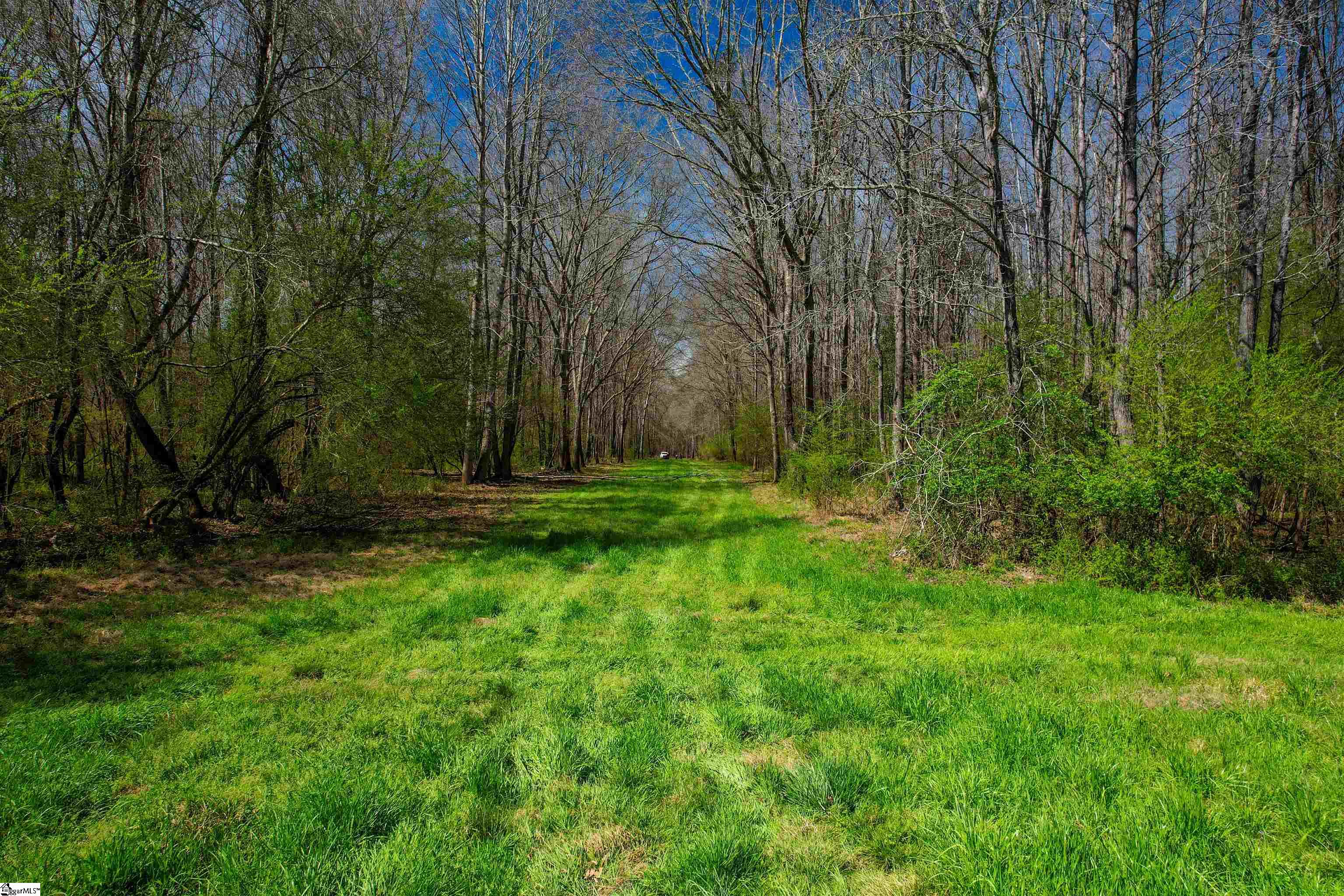 901 Bolt Road Gray Court, SC 29645 - Photo 15 of 36