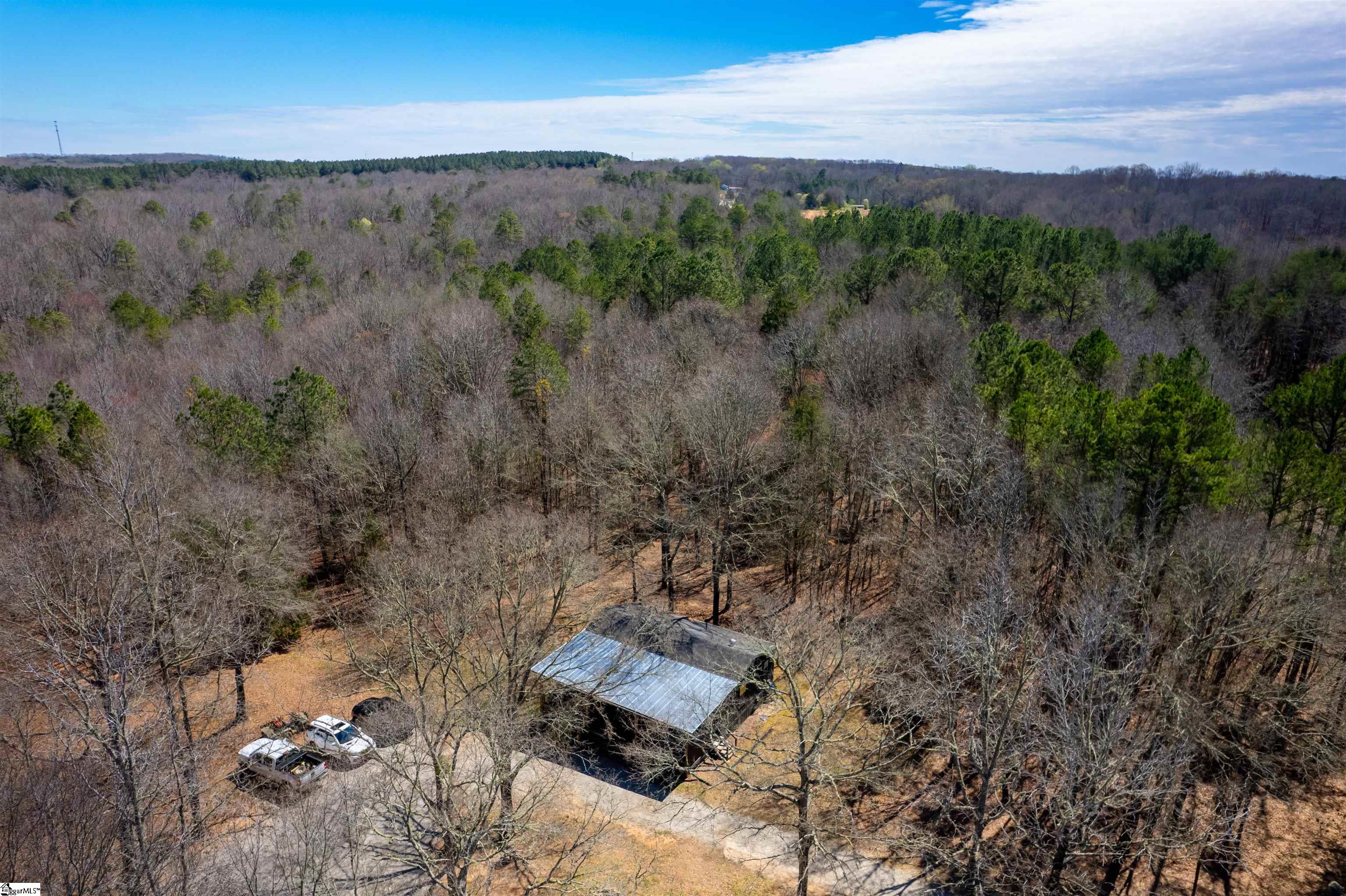 901 Bolt Road Gray Court, SC 29645 - Photo 22 of 36