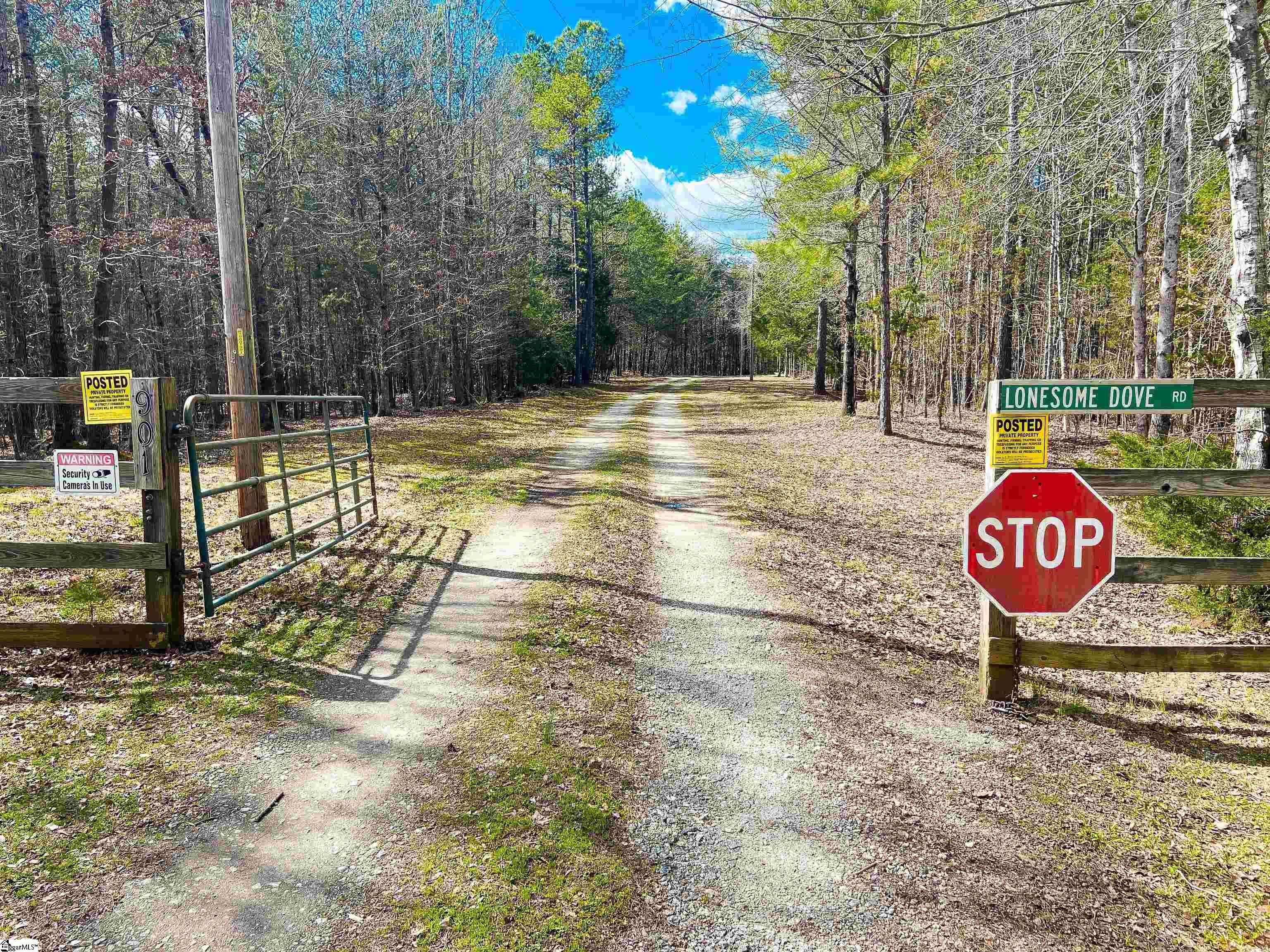 901 Bolt Road Gray Court, SC 29645 - Photo 29 of 36
