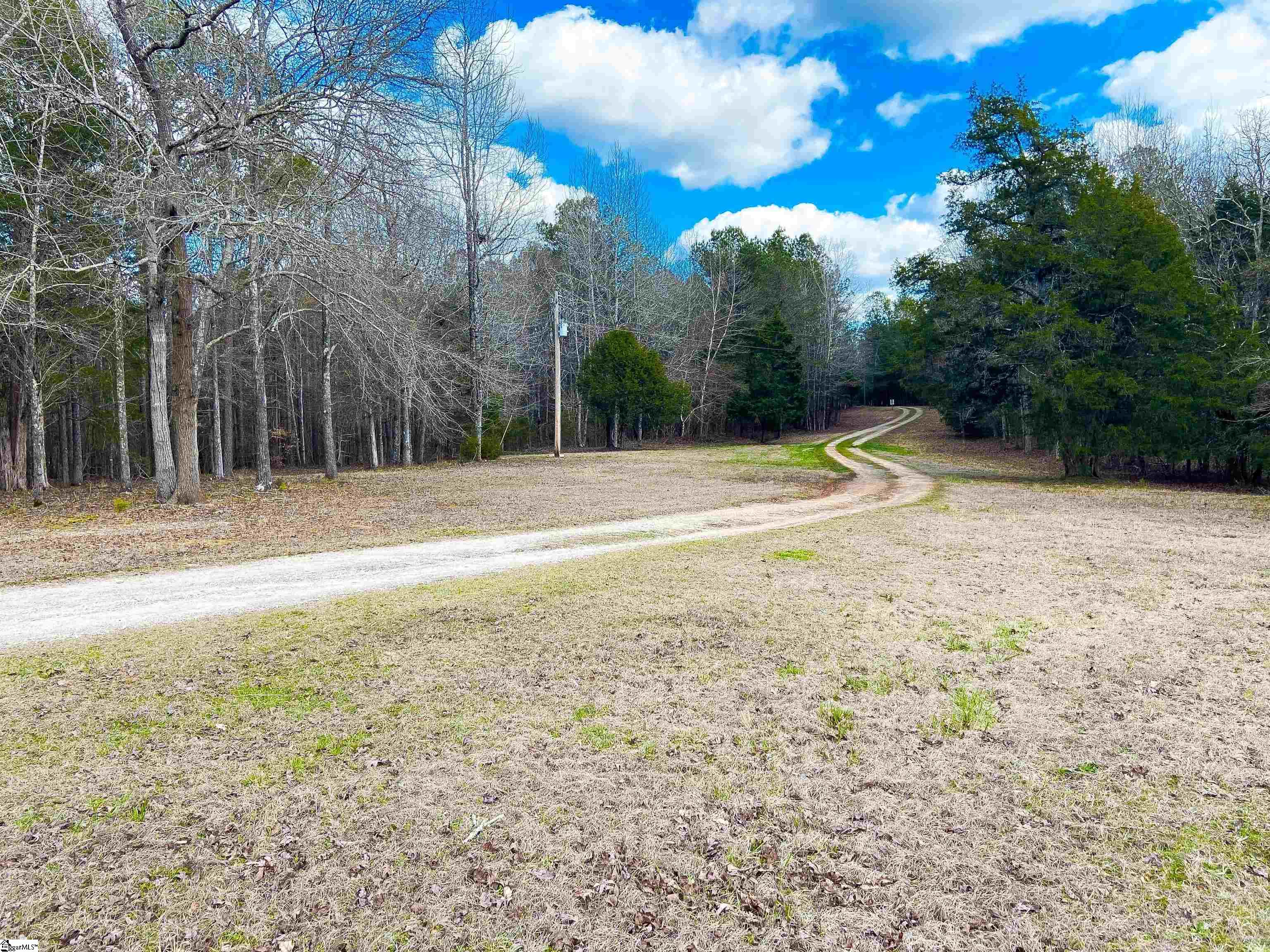901 Bolt Road Gray Court, SC 29645 - Photo 30 of 36