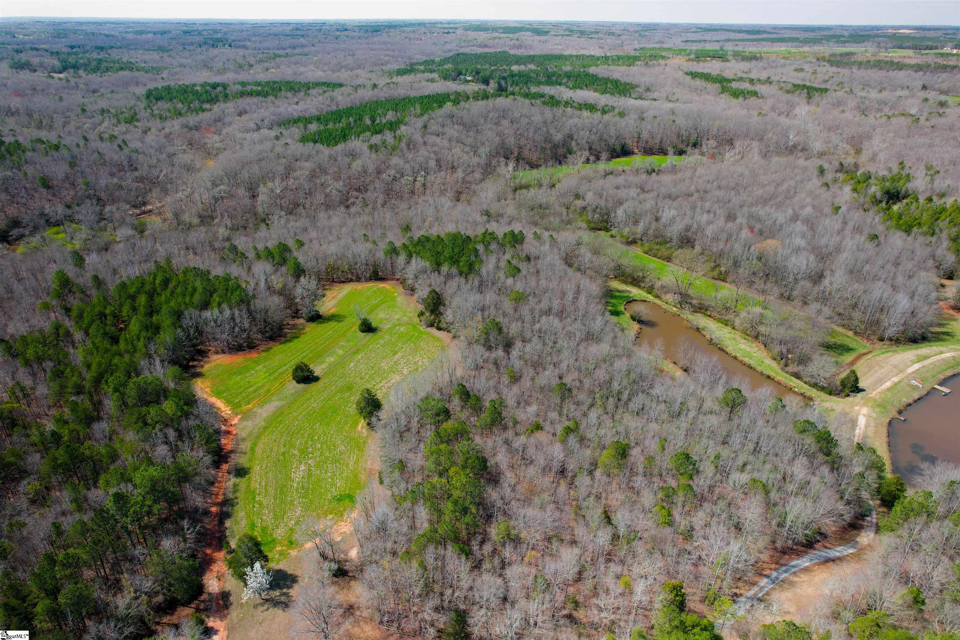 901 Bolt Road Gray Court, SC 29645 - Photo 3 of 36