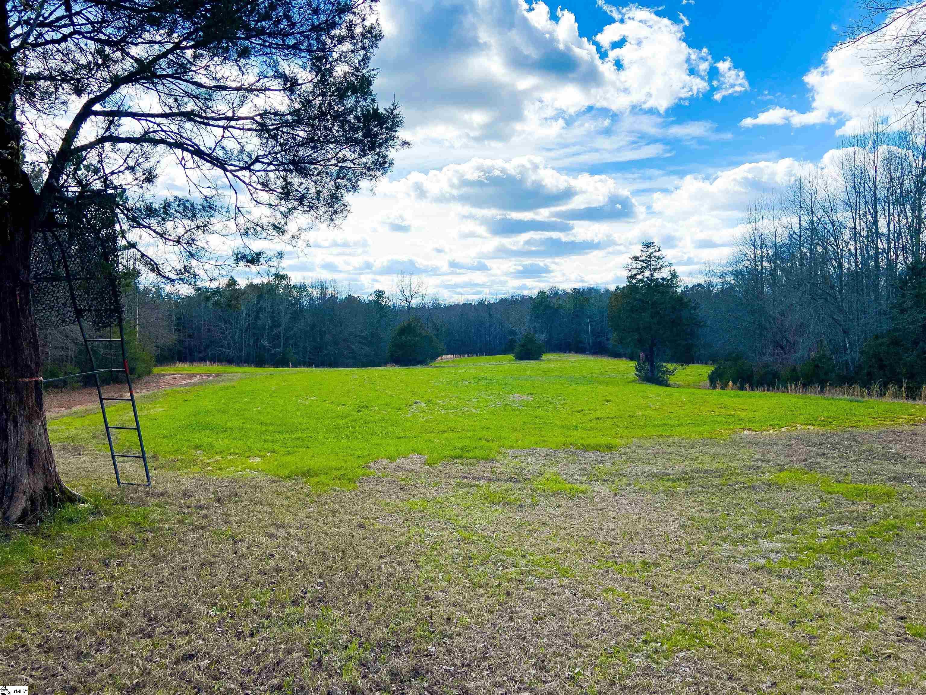 901 Bolt Road Gray Court, SC 29645 - Photo 31 of 36