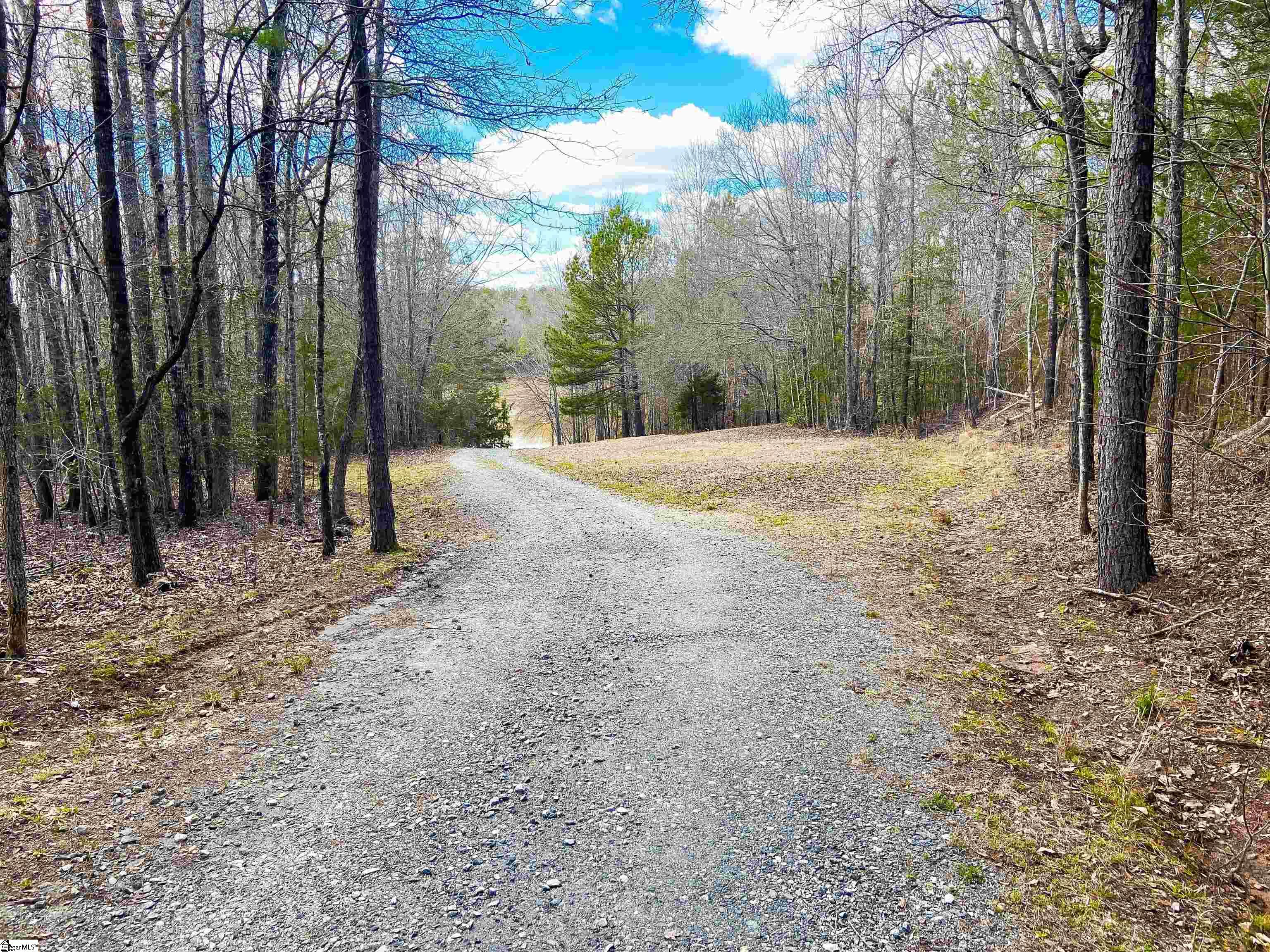 901 Bolt Road Gray Court, SC 29645 - Photo 32 of 36