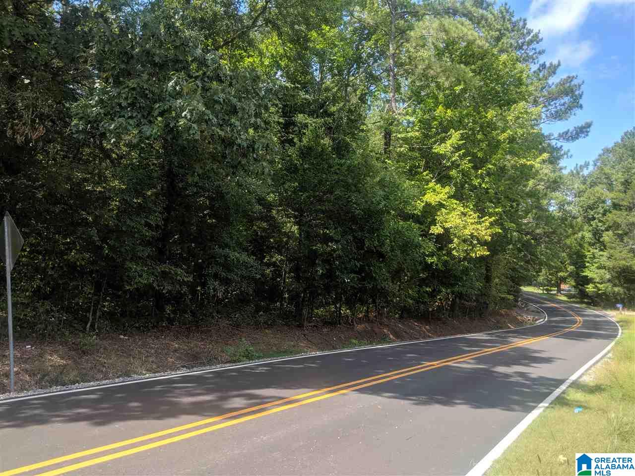 0 Old Broadwell Mill Road Jacksonville, AL 36265 - Photo 21 of 22