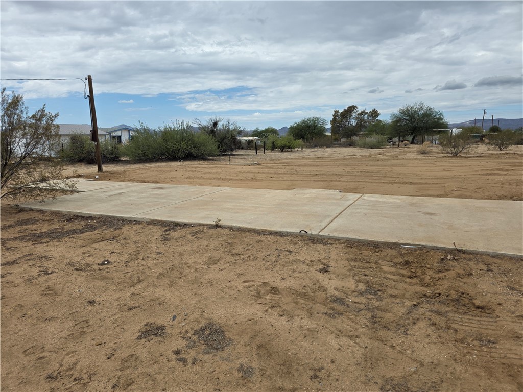 a view of a dry yard with wooden fence