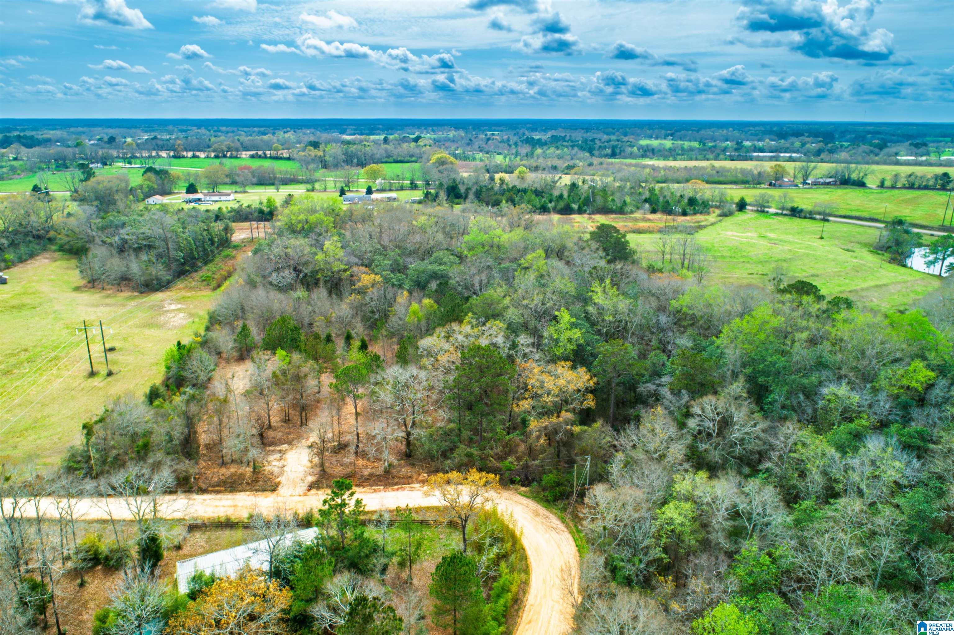 27180 Deer Run Road Opp, AL 36467 - Photo 14 of 60