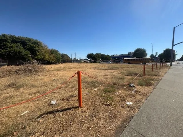 a view of a dry yard with wooden fence